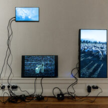 Zinaida Tchelidze, Hitchhike, instalacja wideo, 2025, widok wystawy „Ukryte parametry”, OP ENHEIM, 17.10.2025-22.02.2026, fot. Alicja Kielan